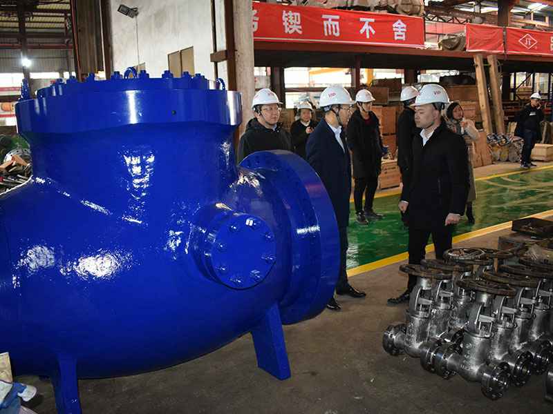 苗市长走访开云app登录入口-开云(中国)集团