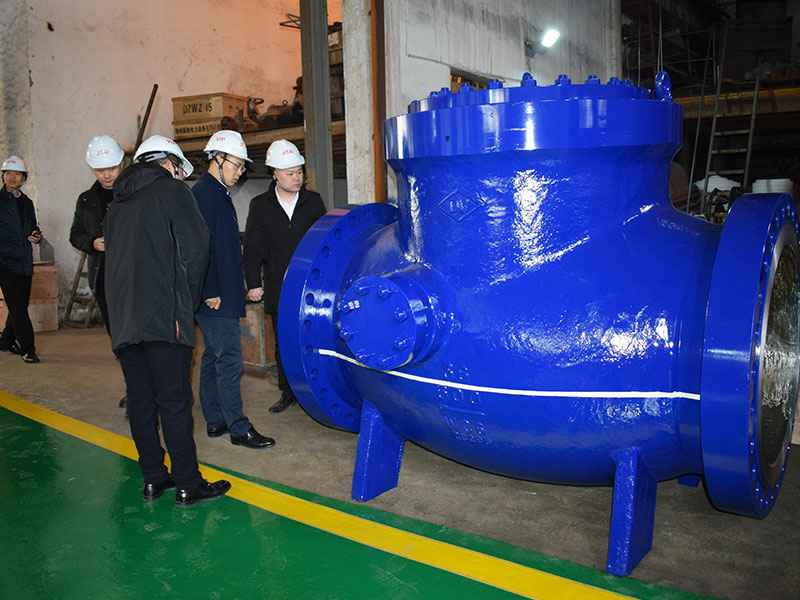 苗市长走访开云app登录入口-开云(中国)集团